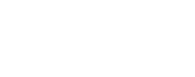Hanna Finantsteenused